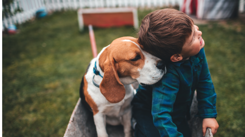 Animals teach us unconditional love