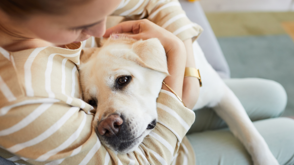 Empathy and Compassion of an animal